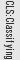 CLS: Classifying