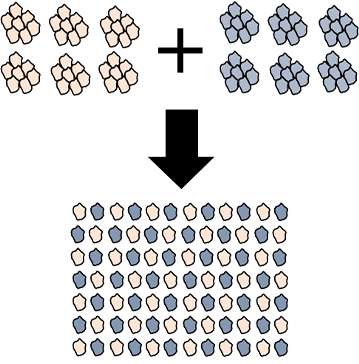 イメージ図